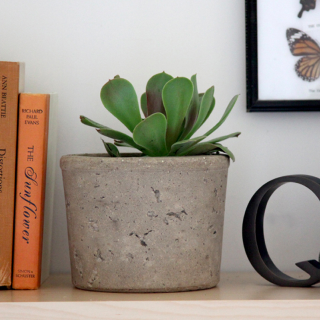 Illustration for article titled How to Make a Cool Concrete Planter of Your Own